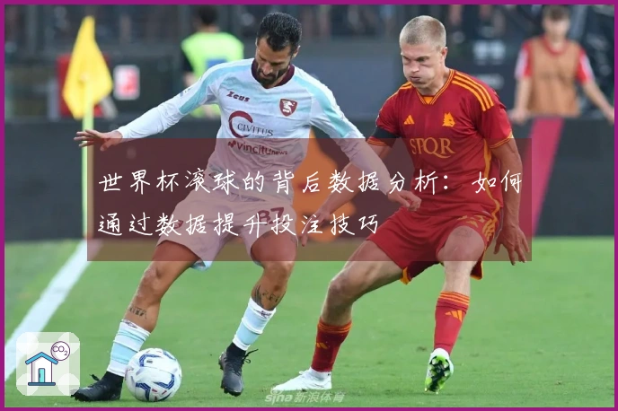 世界杯滚球的背后数据分析：如何通过数据提升投注技巧