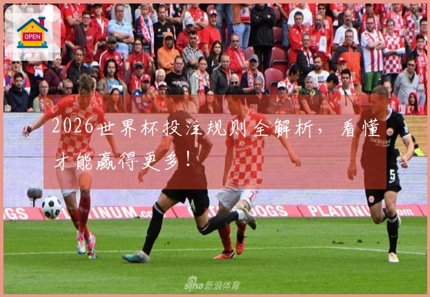2026世界杯投注规则全解析，看懂才能赢得更多！
