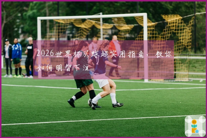 2026世界杯买球超实用指南，教你如何明智下注