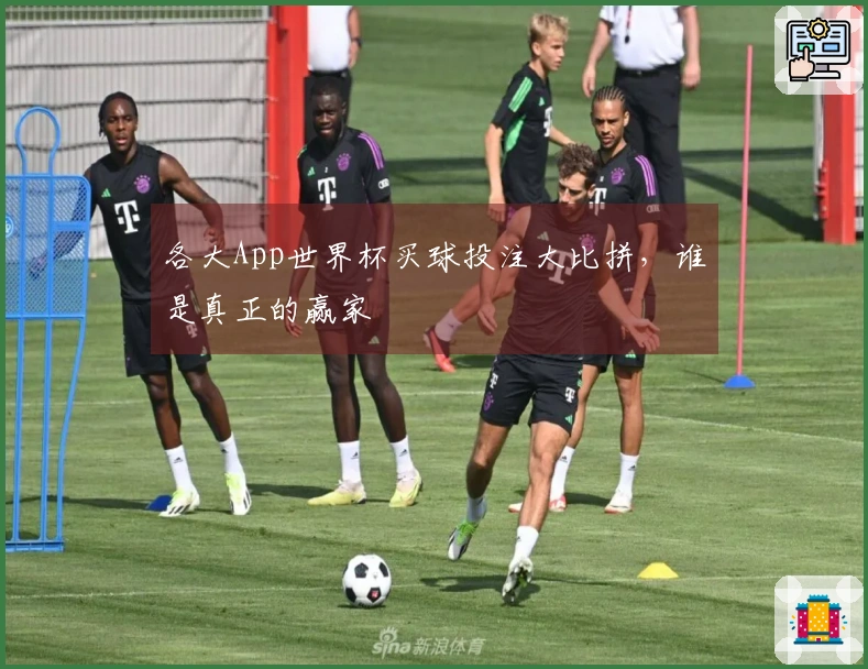 各大App世界杯买球投注大比拼，谁是真正的赢家