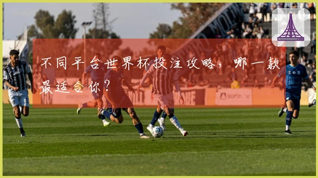 不同平台世界杯投注攻略，哪一款最适合你？