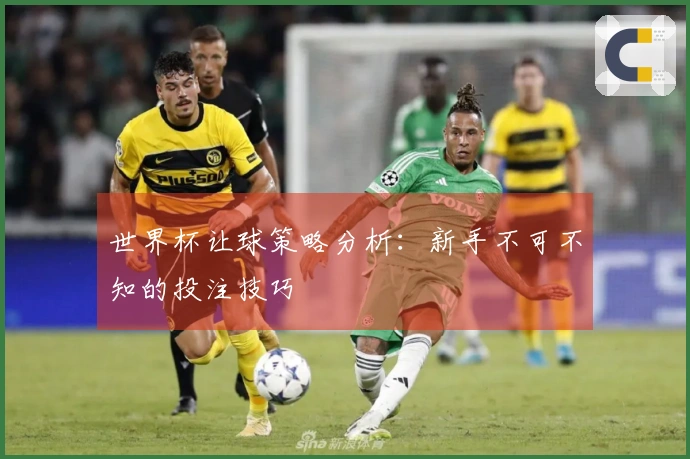 世界杯让球策略分析：新手不可不知的投注技巧