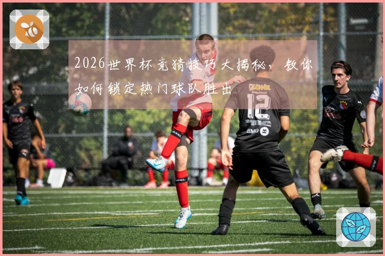 2026世界杯竞猜技巧大揭秘，教你如何锁定热门球队胜出