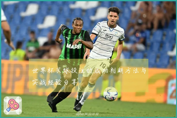 世界杯买球投注的成功判断方法与实战经验分享