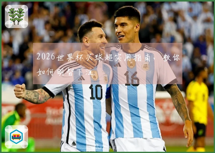 2026世界杯买球超实用指南，教你如何明智下注
